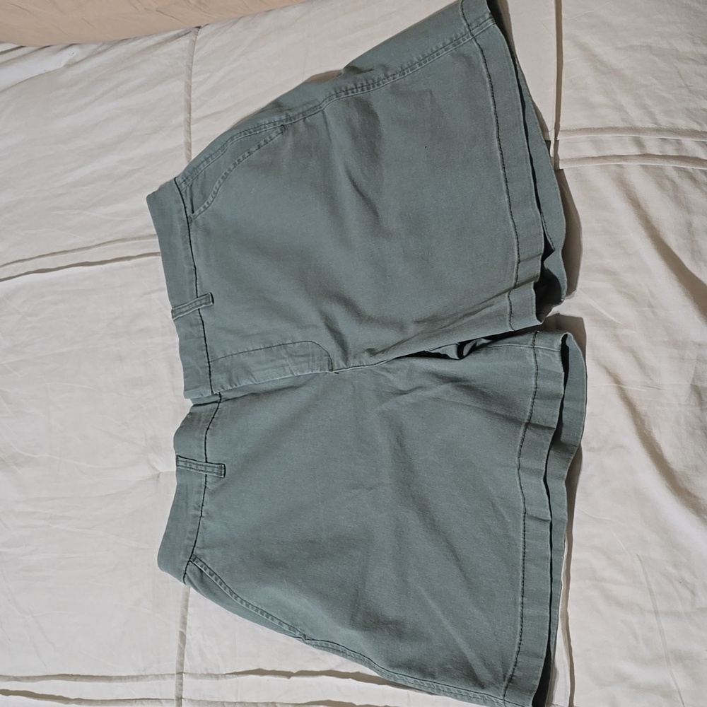 NWT Anne Klein Shorts